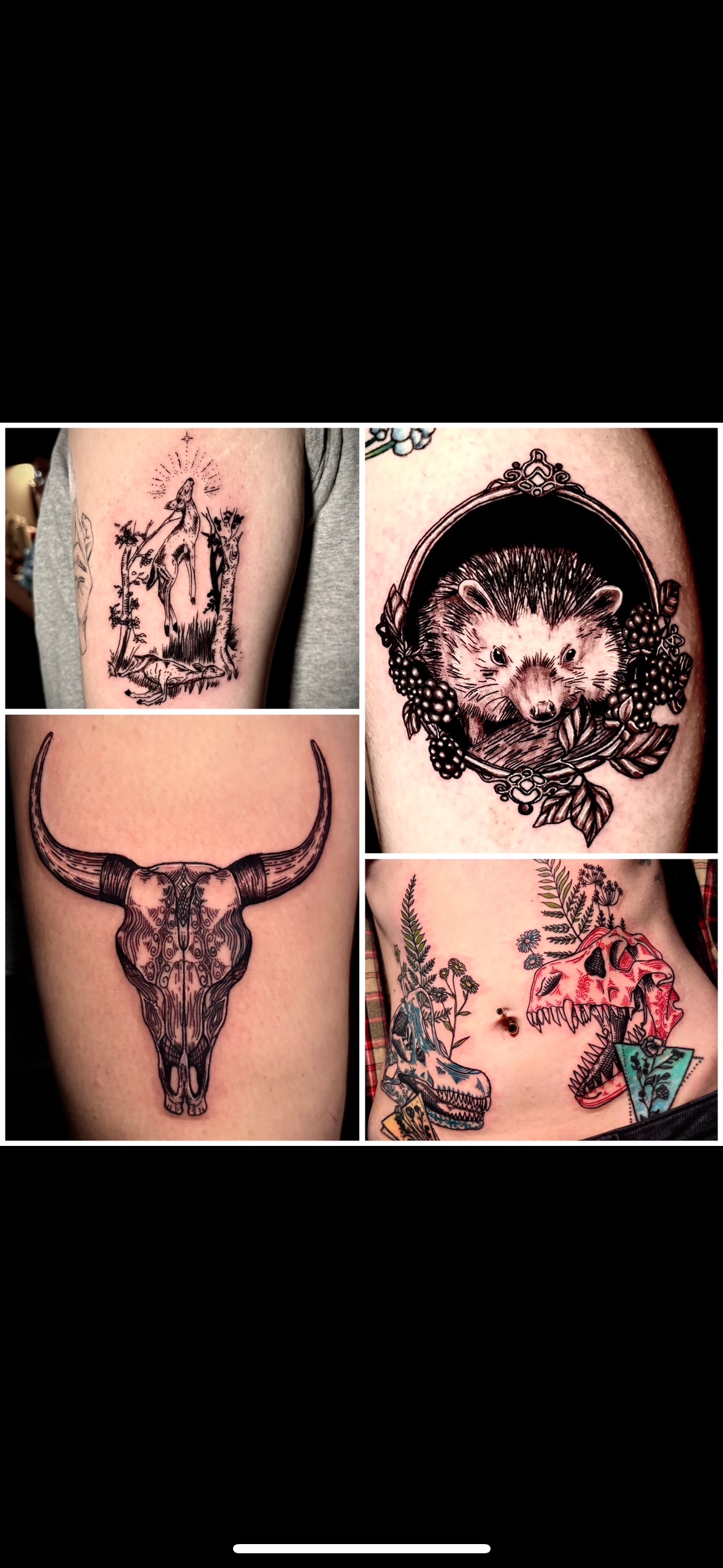 Portfolio